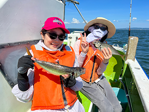 マアジの釣果