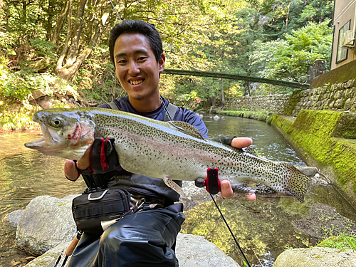 ニジマスの釣果