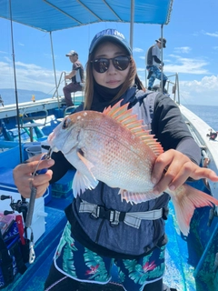 マダイの釣果