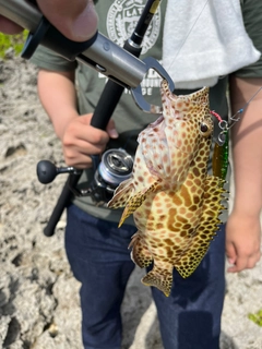 イシミーバイの釣果