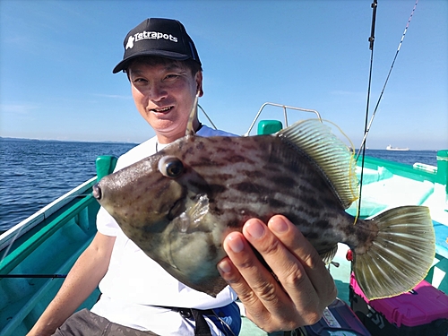 カワハギの釣果