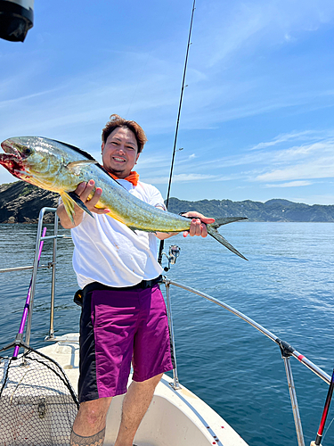 シイラの釣果