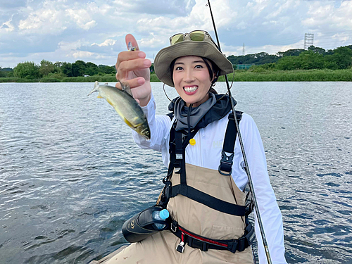 アユの釣果