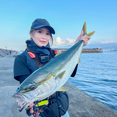 メジロの釣果