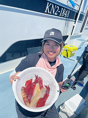 マルイカの釣果