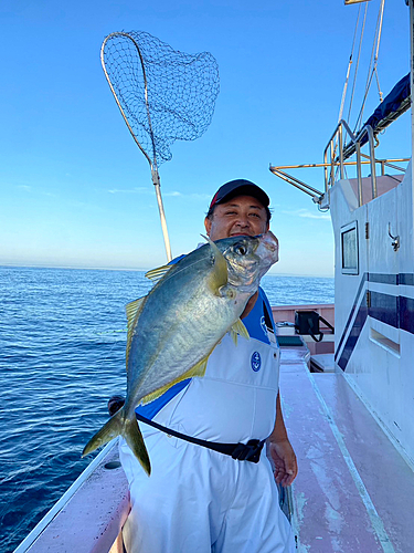 シマアジの釣果