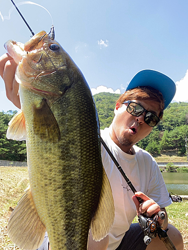 ブラックバスの釣果