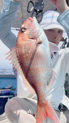 タイの釣果