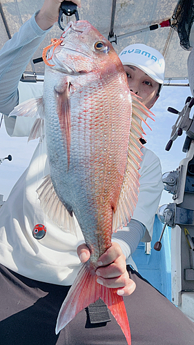 タイの釣果