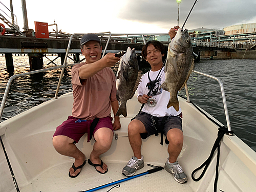 クロダイの釣果