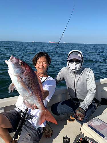 マダイの釣果