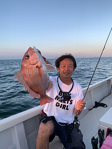 マダイの釣果