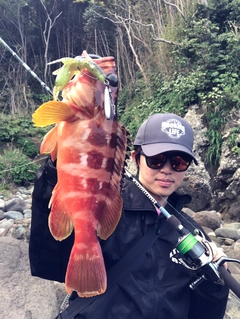 アカハタの釣果