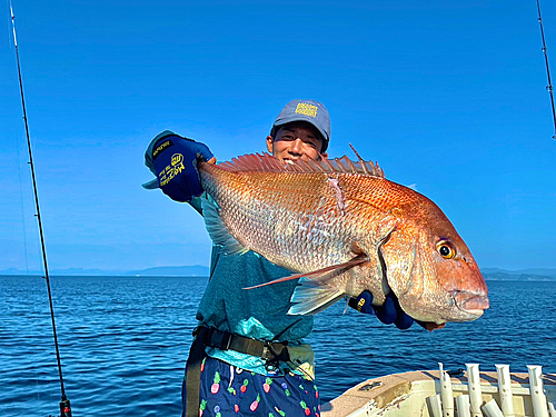 マダイの釣果