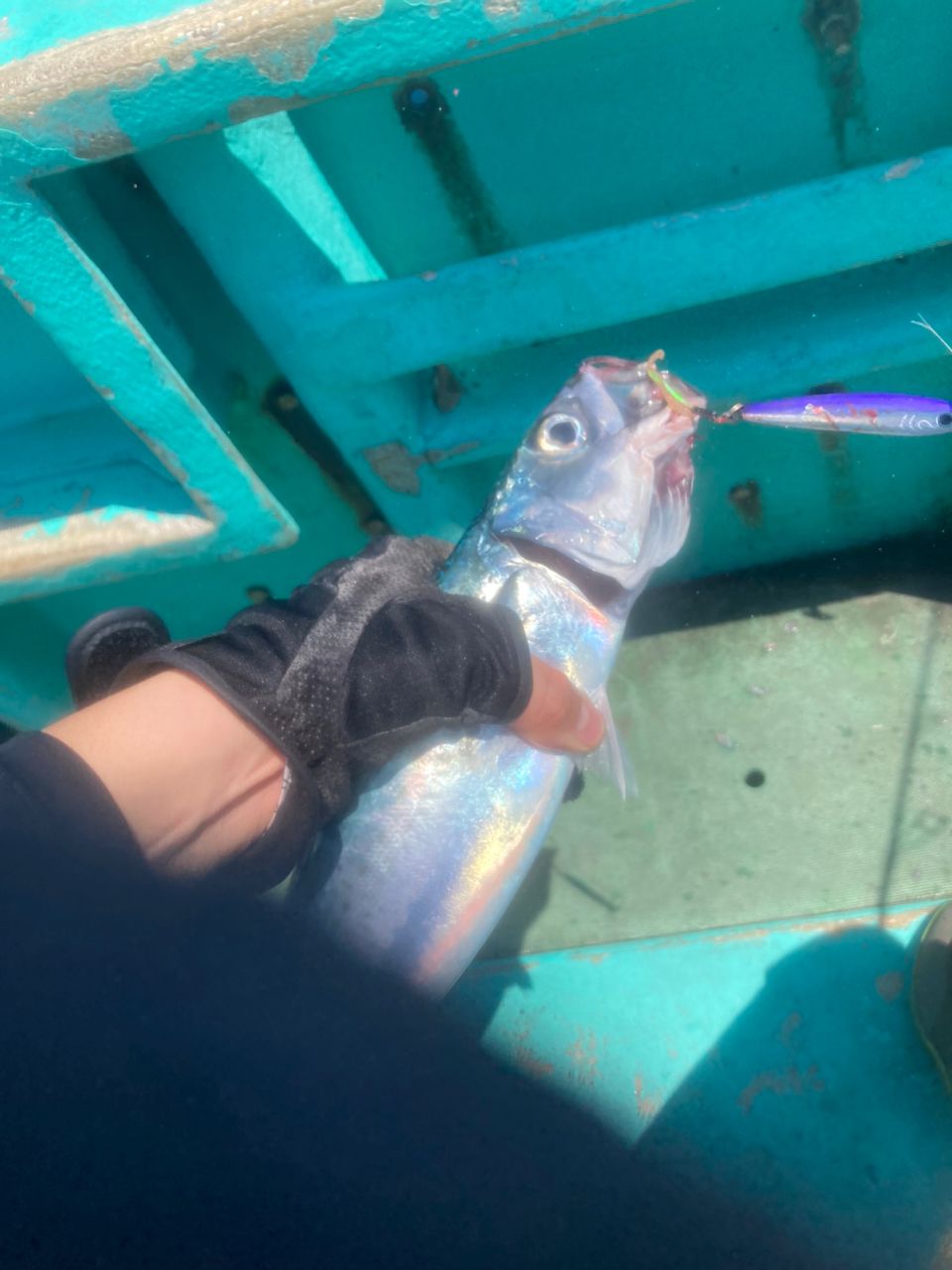 Mackey-jiggingさんの釣果 2枚目の画像