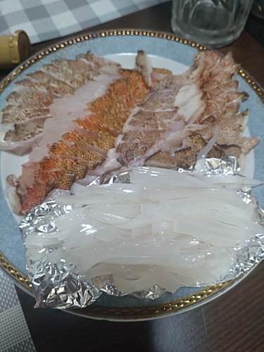 キジハタの釣果