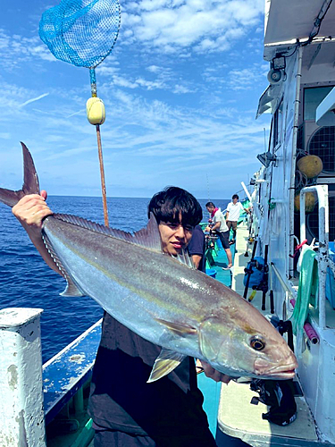 カンパチの釣果