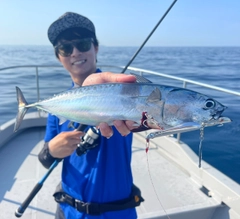 ソウダガツオの釣果