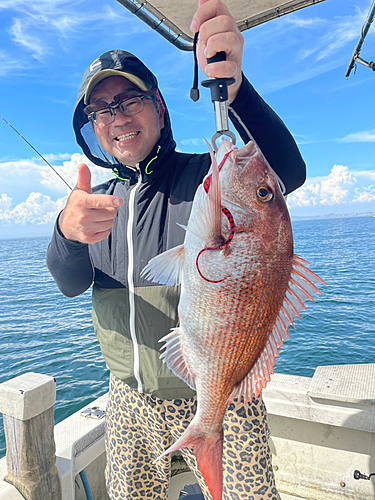 マダイの釣果