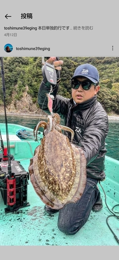 コウイカの釣果