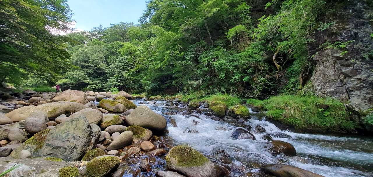 イワナ