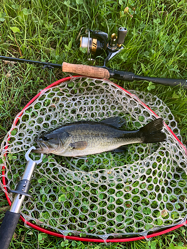 釣果