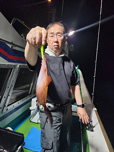 ケンサキイカの釣果