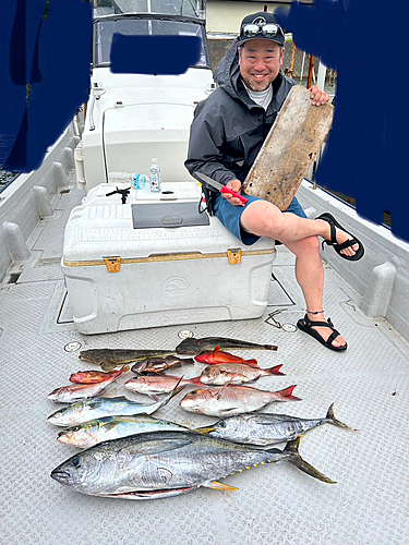 マダイの釣果