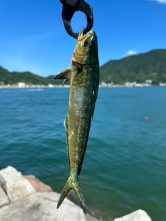 釣果