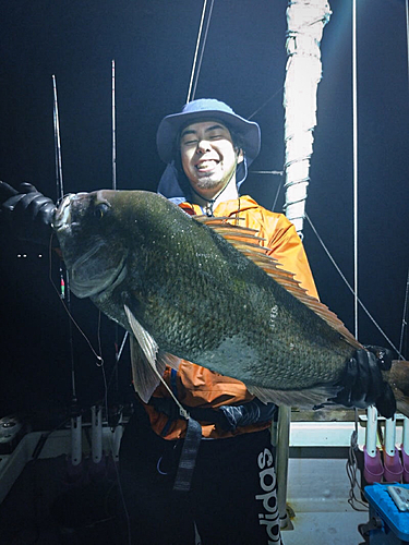 マダイの釣果