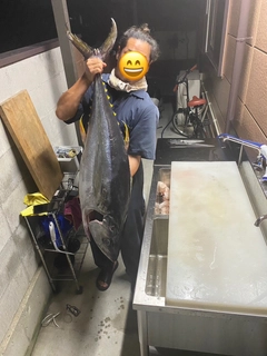 キハダマグロの釣果