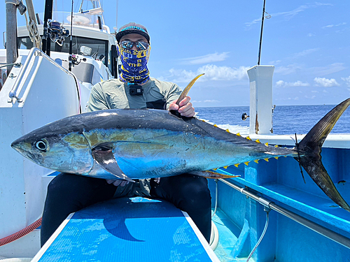 キハダマグロの釣果