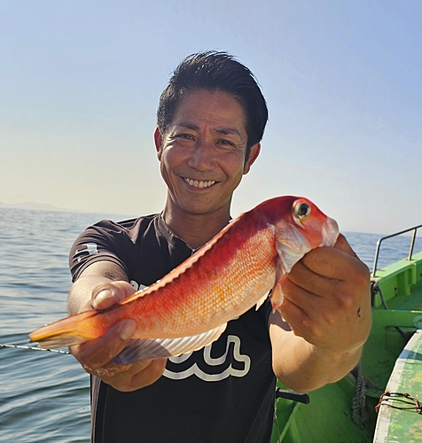 アマダイの釣果