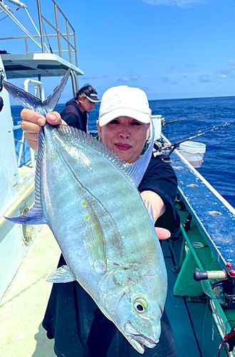 シマアジの釣果