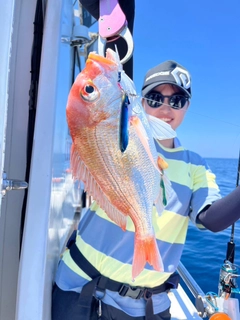 レンコダイの釣果