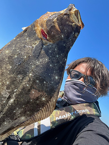 ヒラメの釣果