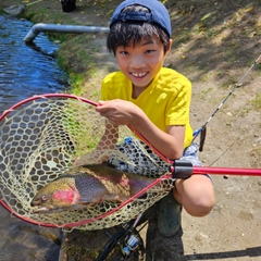 ニジマスの釣果