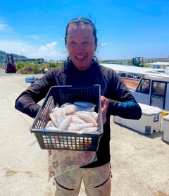 ショウサイフグの釣果