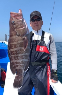 マハタの釣果