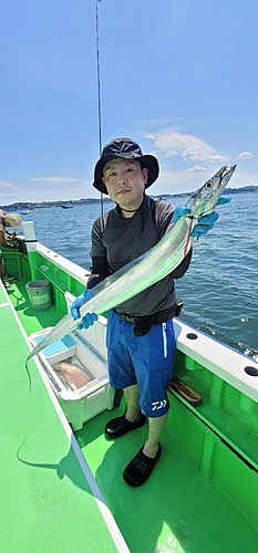 タチウオの釣果