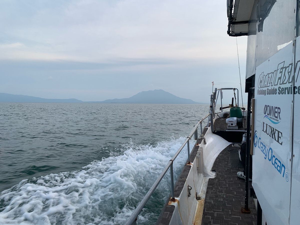 めしてろさんの釣果 3枚目の画像