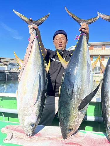 キハダマグロの釣果