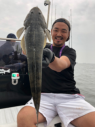 タコの釣果