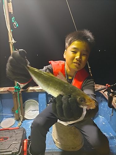 マアジの釣果