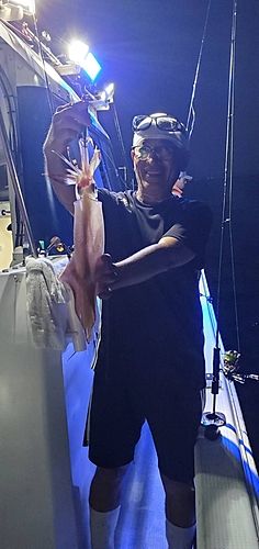 アカイカの釣果