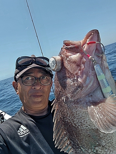 ヤナギの釣果