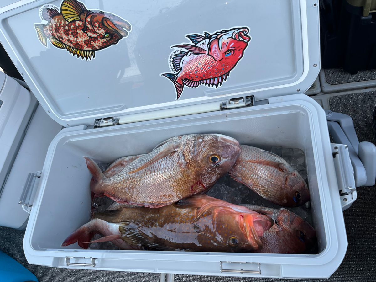 SZUPID FISHIIG CLUBさんの釣果 2枚目の画像