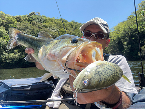 ブラックバスの釣果