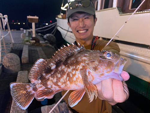 カサゴの釣果