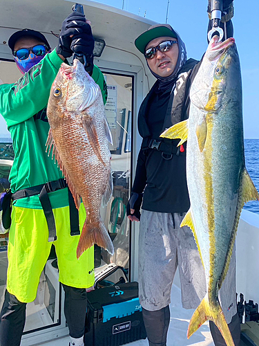 タイの釣果